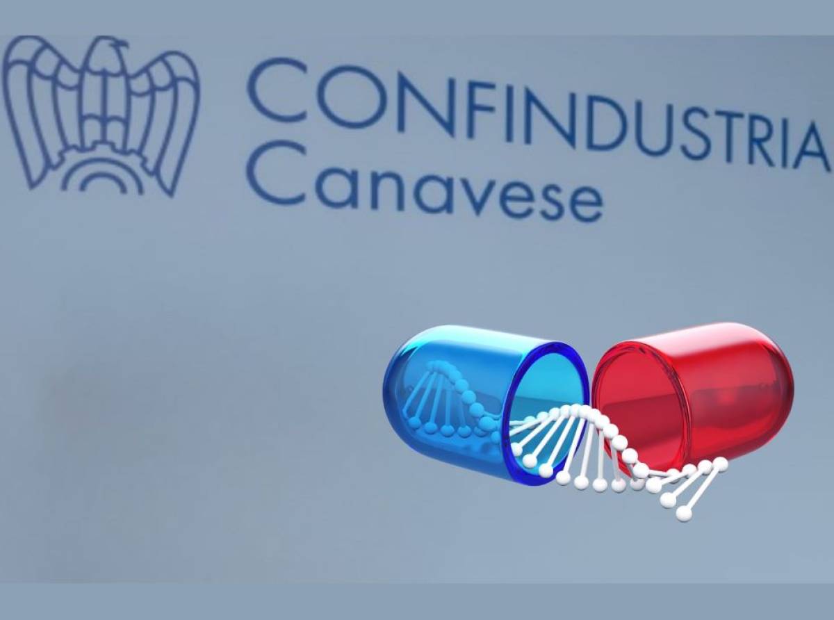 Medicina rigenerativa, scienza e innovazione si incontrano a Ivrea: il Canavese ospita un congresso di respiro internazionale